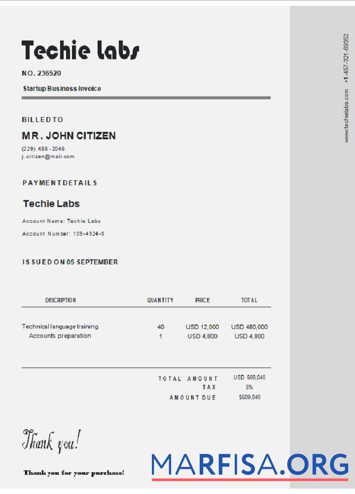 Printable USA Techie Labs invoice example
